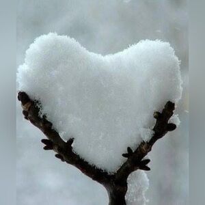 Welcome to Tatum’s Thrifts💚